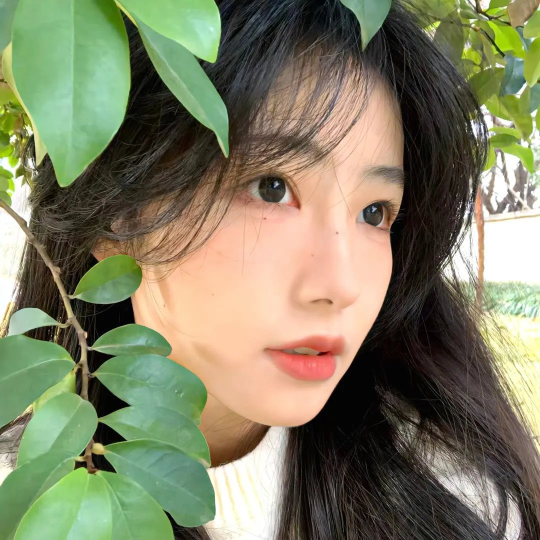 黑影窥窗